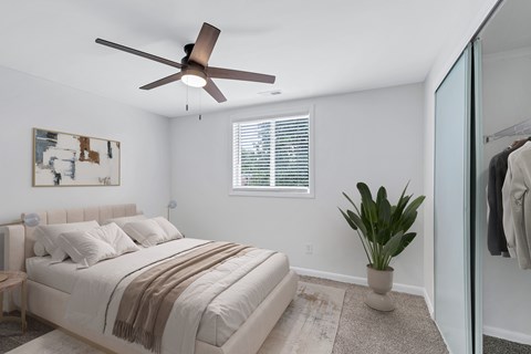 A bedroom with a bed, a ceiling fan, and a plant.