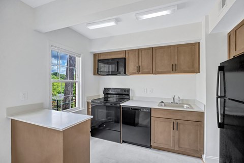 A kitchen with black appliances and wooden cabinets.