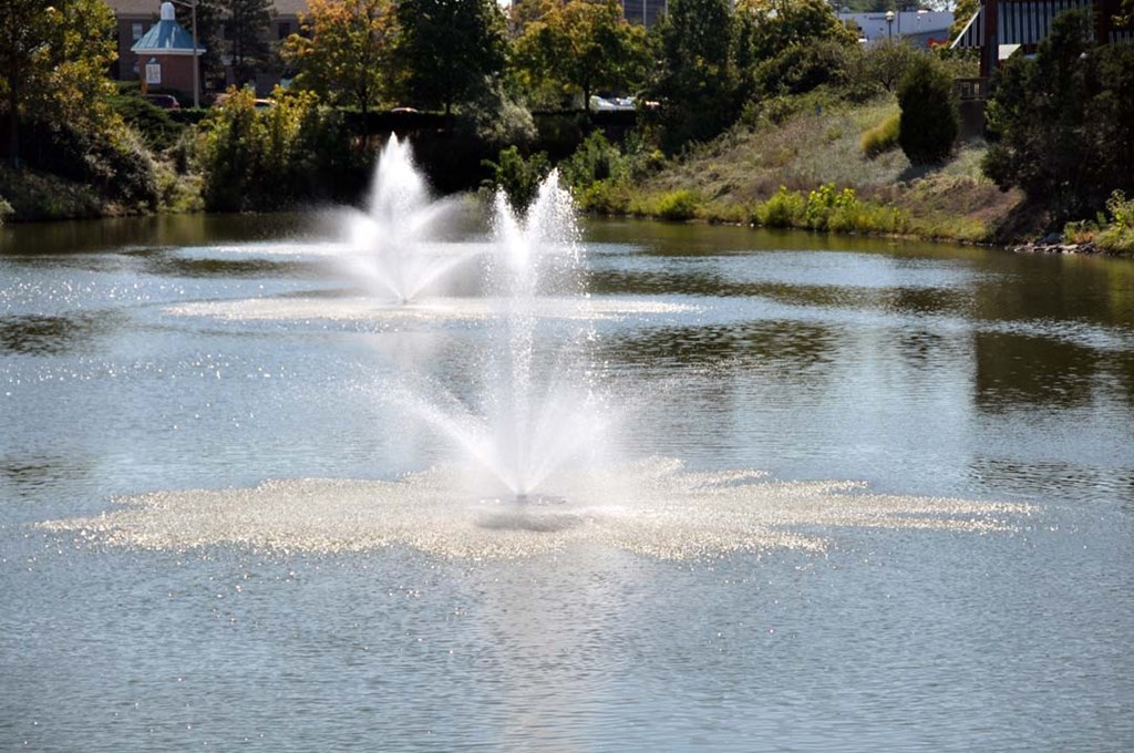 Coverstone IV Around Town 4