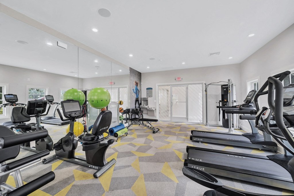 a fitness center with designer carpet, mural of two runners, treadmills, free weights, and various workout equipment.