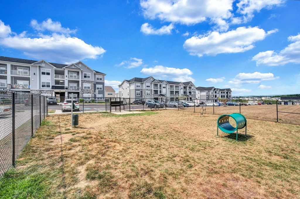 the preserve at ballantyne commons dog park with apartment buildings in the background