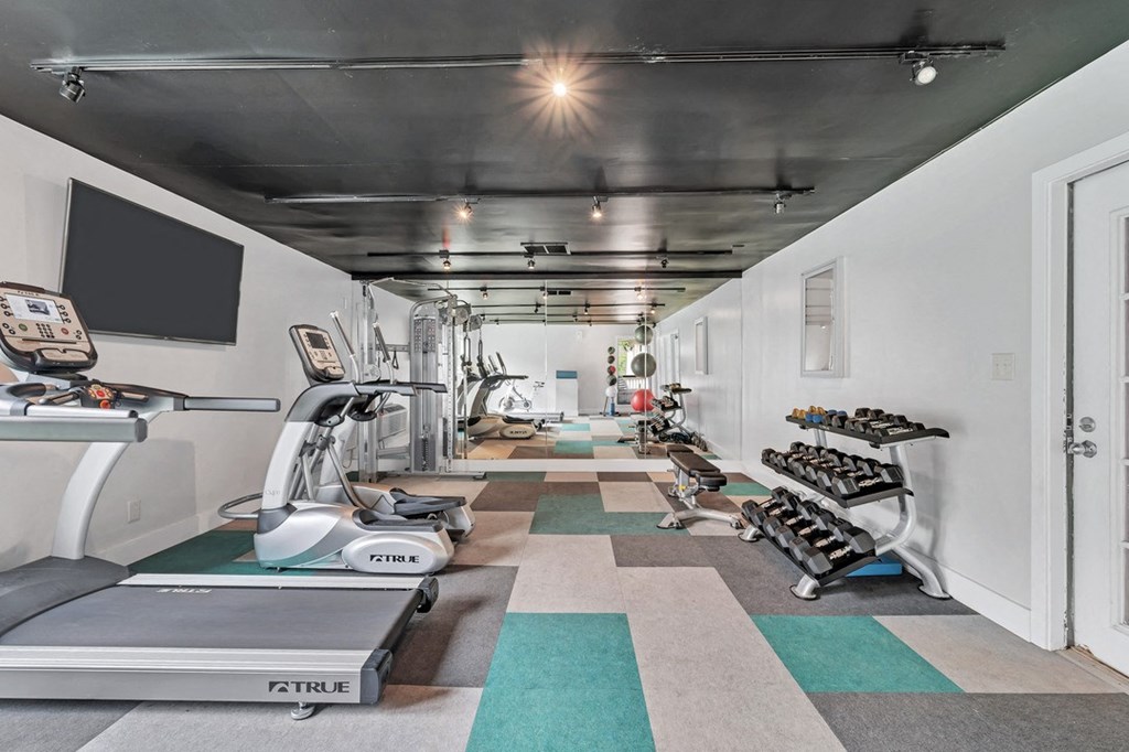 Southpoint Reserve at Stoney Creek 24Hour Fitness Center showing treadmills, free weights, mirrors and other equipment.