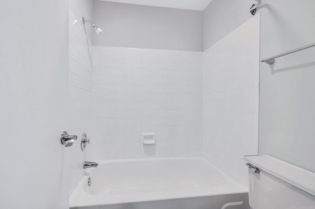 a bathroom with a bathtub and a toilet