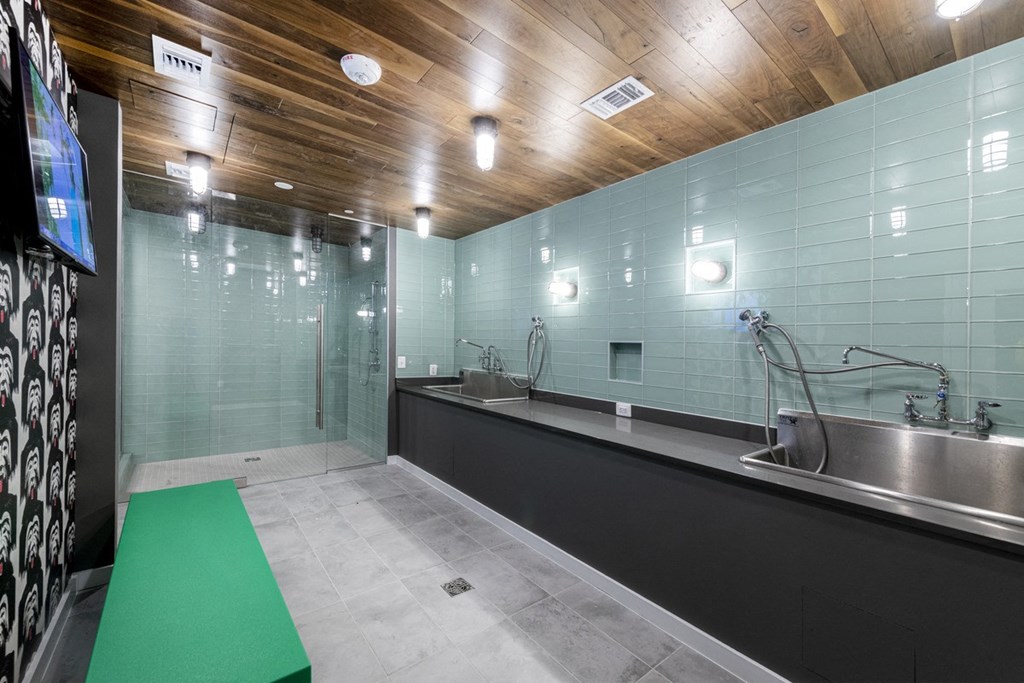 Mission Lofts pet spa with sink and shower