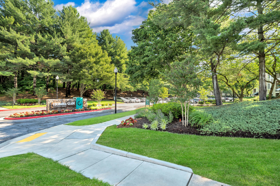 a park with trees and grass and a sidewalk
