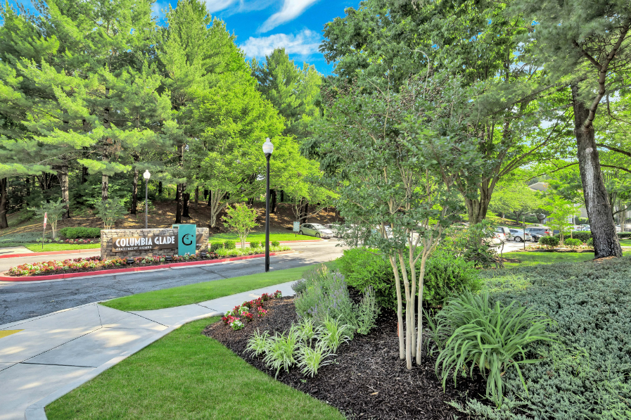 a view of a park with trees and a sidewalk