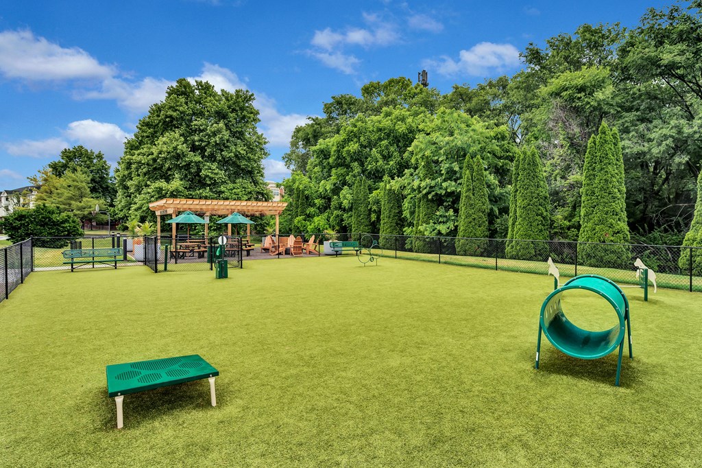 a large grassy area with a swing set and a trampoline