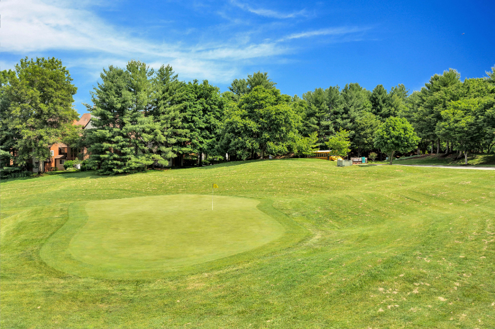 a view of a golf green with trees in the background