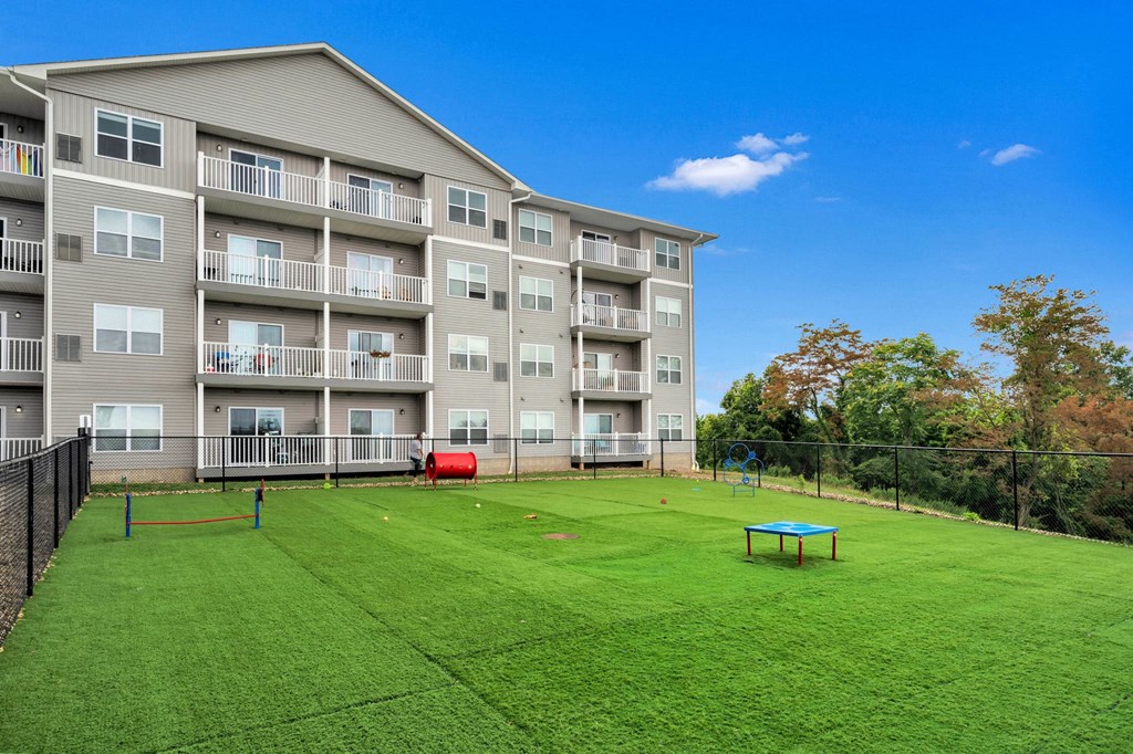 the preserve at ballantyne commons dog park and apartment building