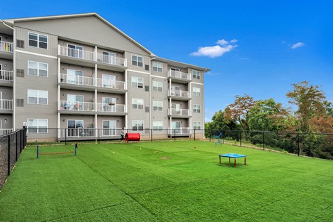 the preserve at ballantyne commons dog park and apartment building