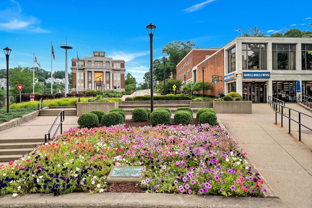 a garden of flowers in front of a building