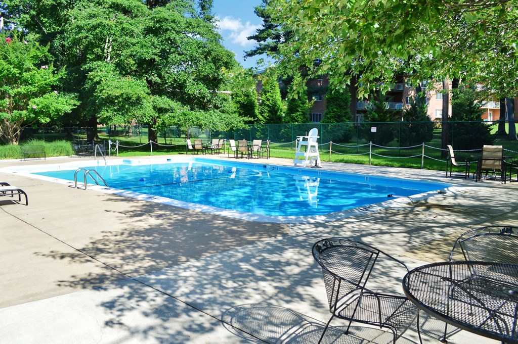 a swimming pool with chairs and trees around it