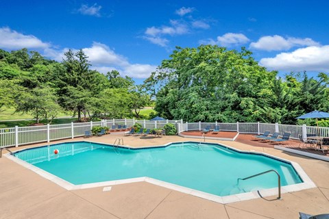 sparkling pool and sun deck