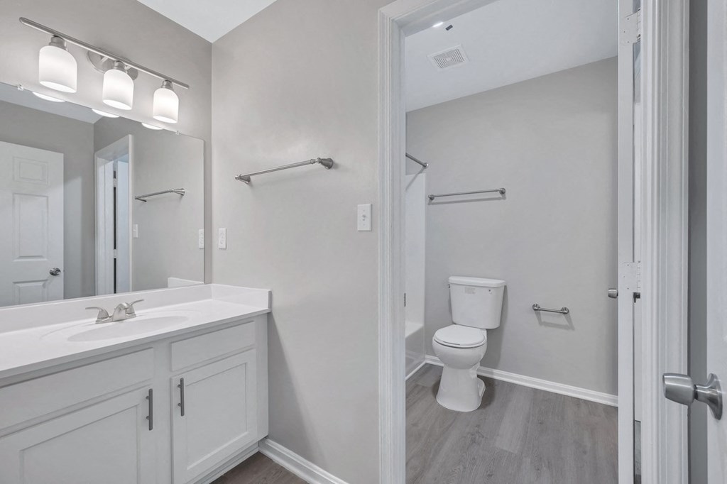 a bathroom with a sink and a toilet and a mirror
