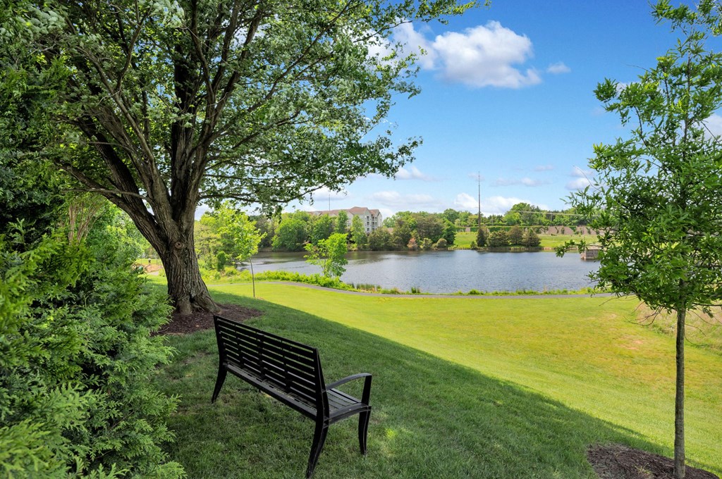 Views of the lake at Waterside at Reston.