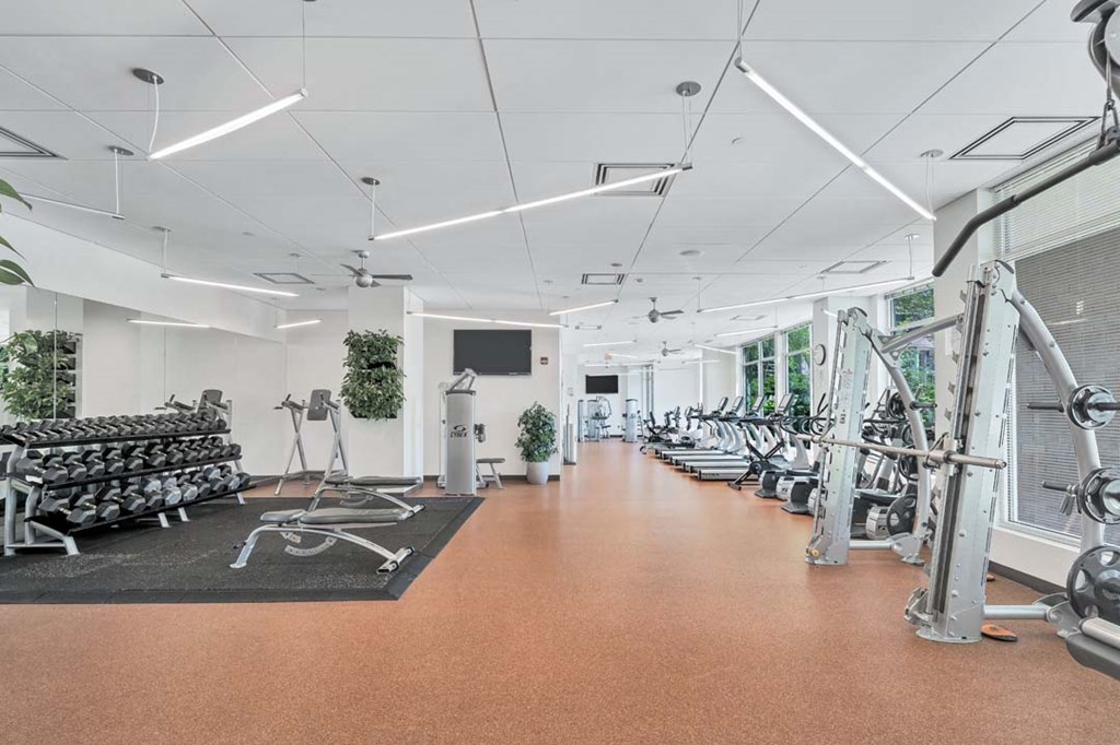 a gym with weights and cardio equipment in a large room