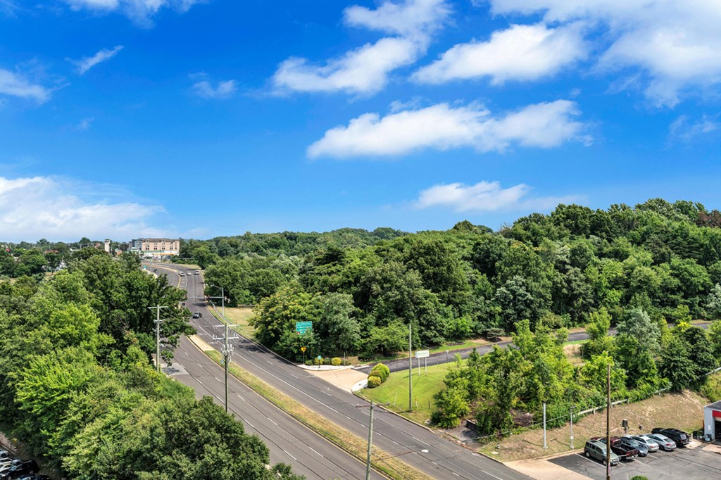 the view of a highway and trees from the top of a hill