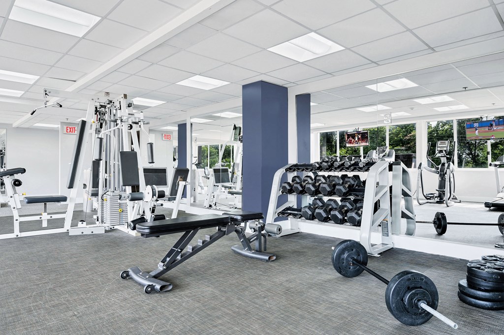 a gym with weights and dumbbells and other exercise equipment