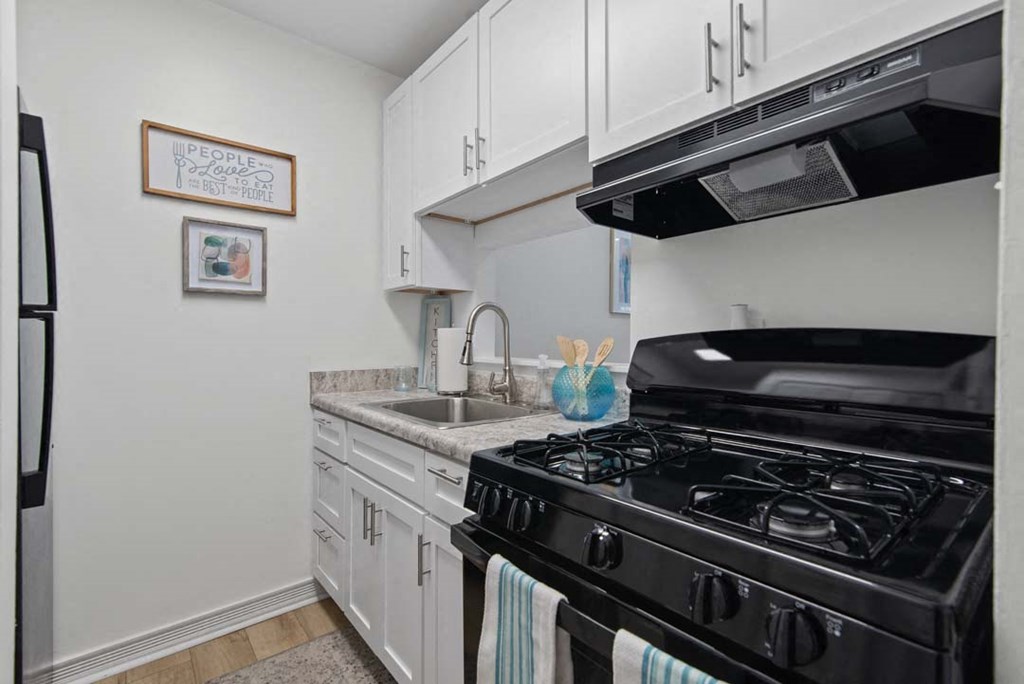 a kitchen with a stove and a sink