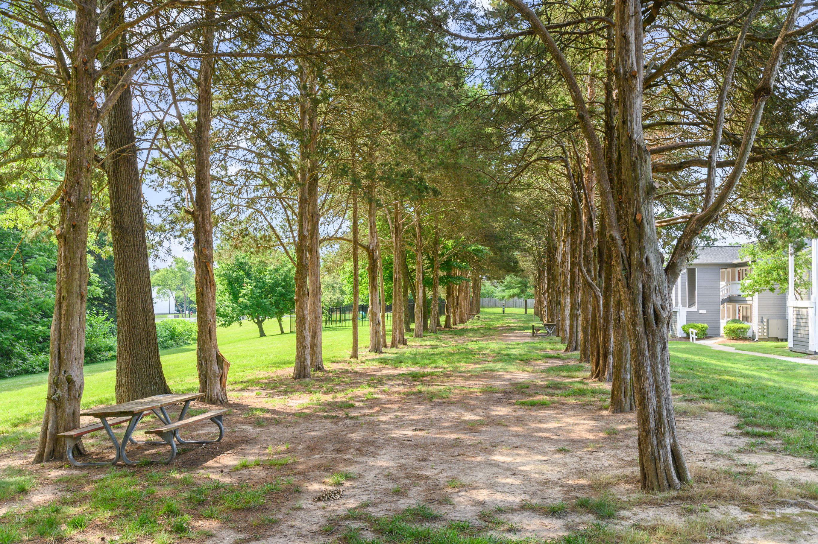 a picnic table sitting in the middle of a park