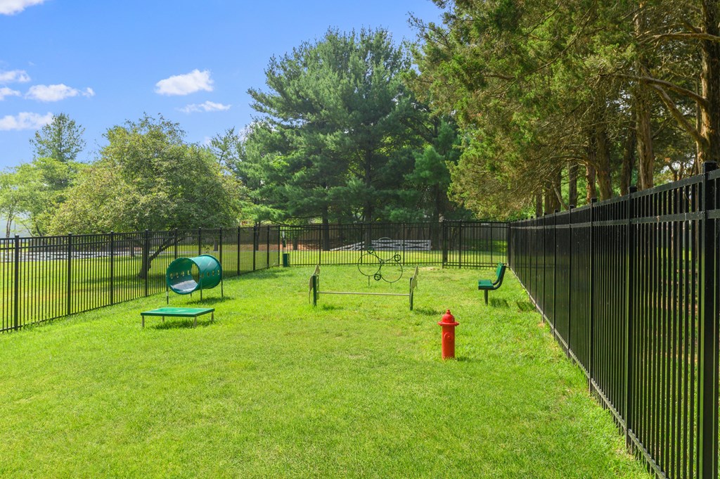 a fenced in dog park with a red fire hydrant
