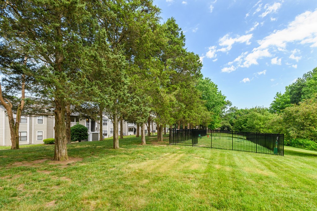 a yard with trees and a black fence
