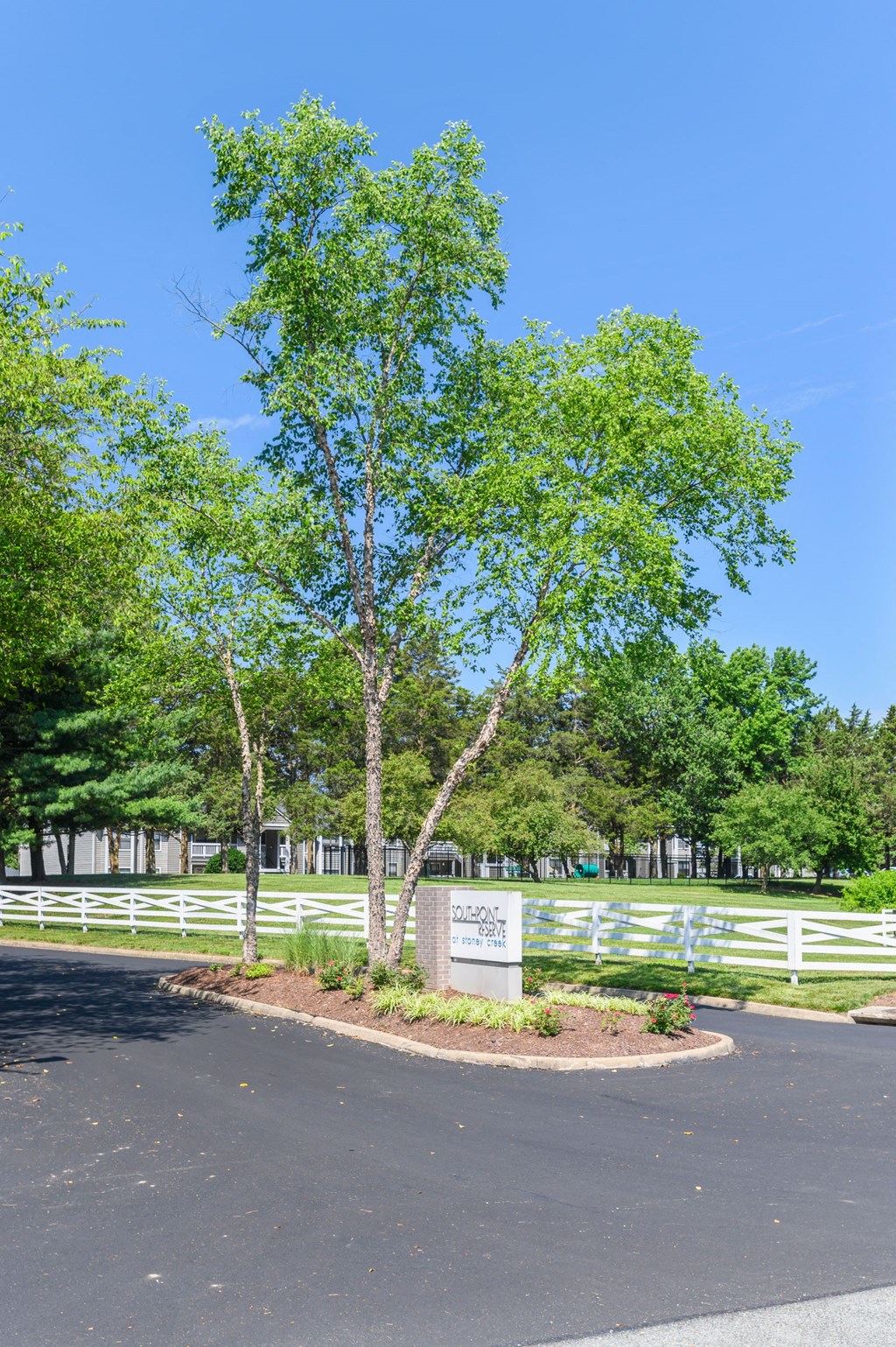 a tree with a sign in front of a white fence