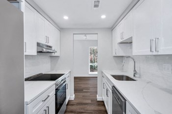 11012 Becontree Lake Drive 1-2 Beds Apartment for Rent - Photo Gallery 2