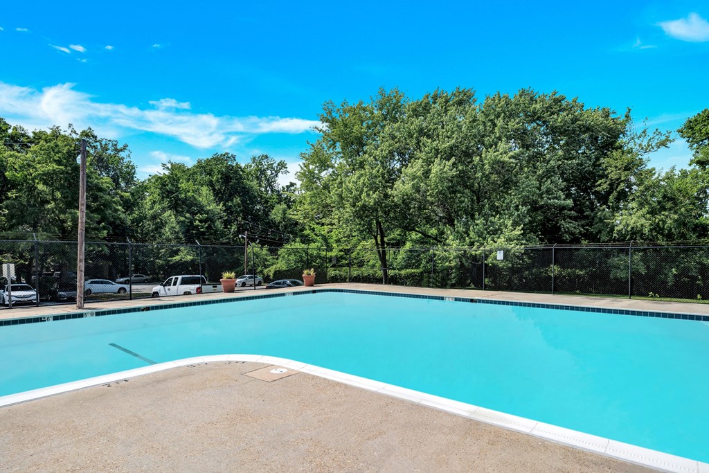 a swimming pool with blue water and trees in the background
