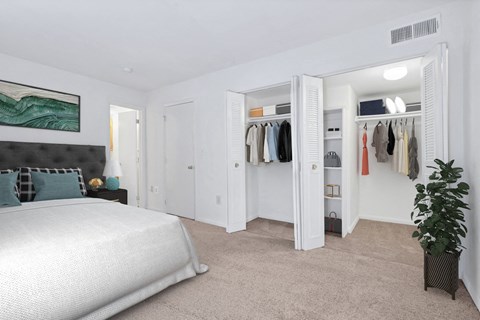 a bedroom with a bed and a closet