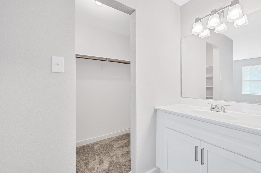 a bathroom with a sink and a mirror and a shower