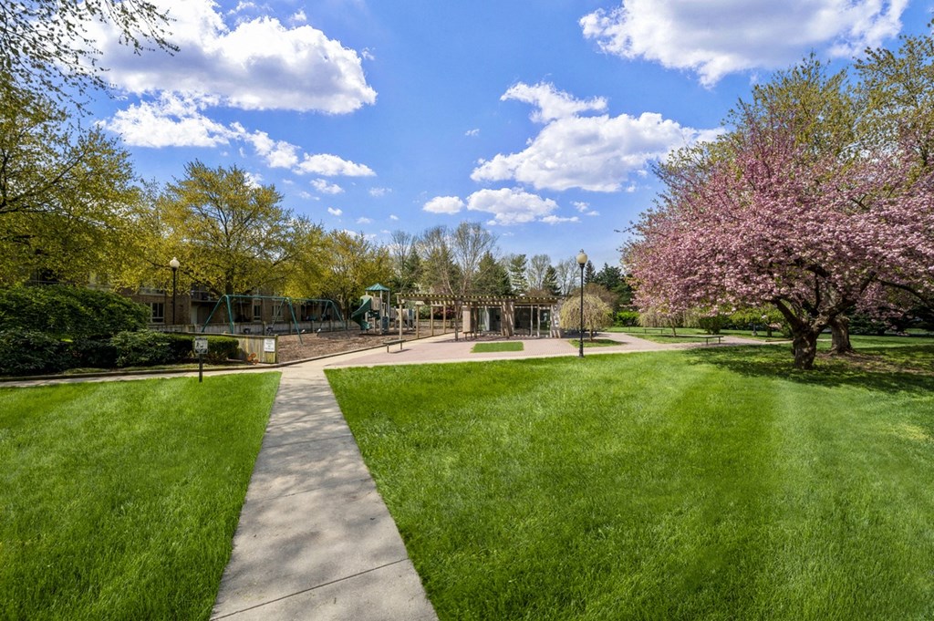 a park with a playground and grass and trees