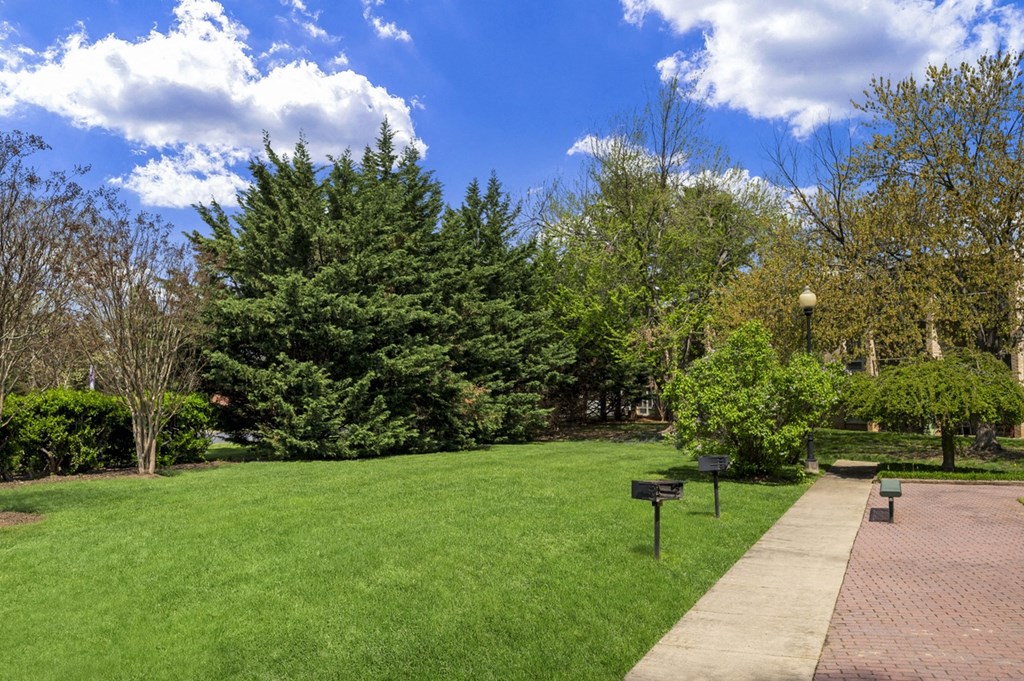 a park with green grass and trees and a sidewalk