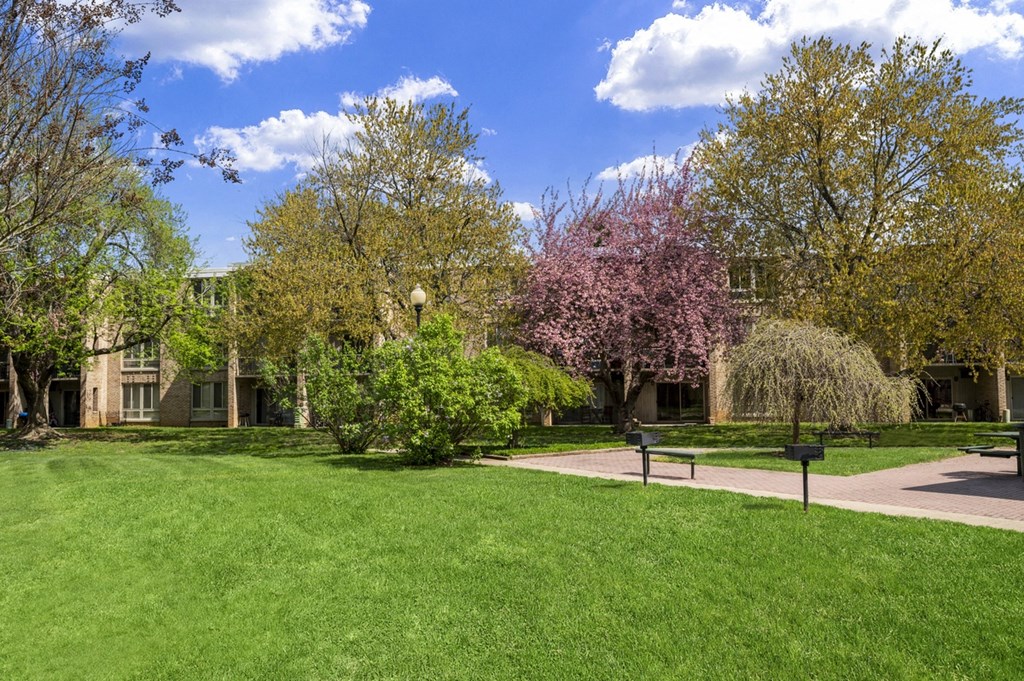 a park with grass and trees in front of a building