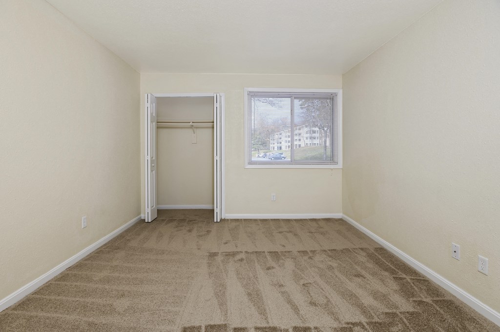 an empty living room with carpet and a window