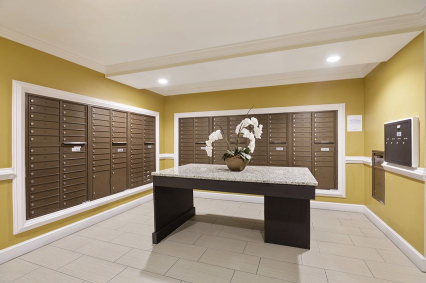 a utility room with lockers and a table with a plant
