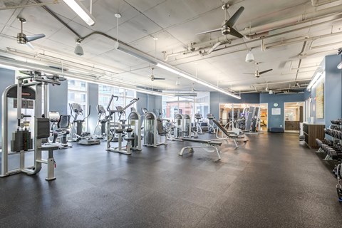 A spacious gym with a variety of equipment.
