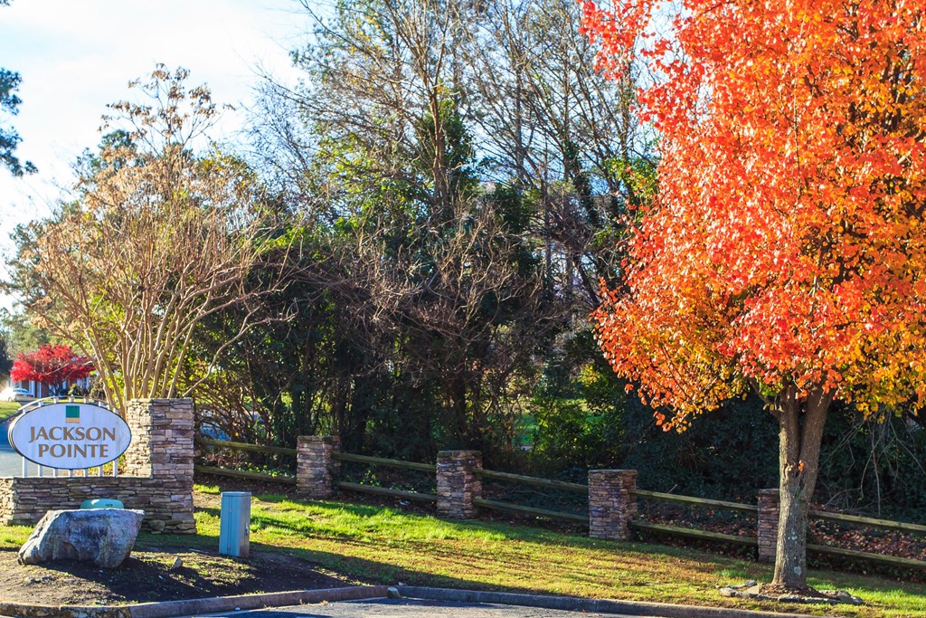 the entrance pointe in front of a tree with orange leaves