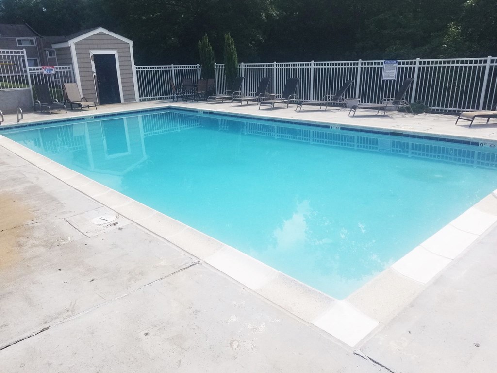 the pool is clean and ready for us to swim in at the resort