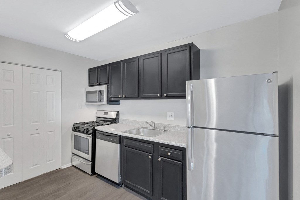 a kitchen with stainless steel appliances and black cabinets