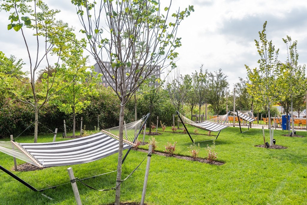 mission lofts outdoor hammocks