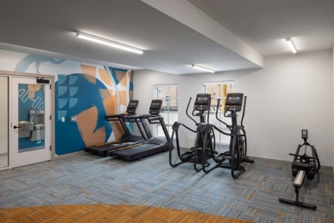 A gym with treadmills, exercise bikes, and a stationary bike.