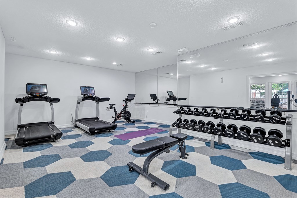 A gym with a variety of equipment including treadmills, a stationary bike, and a bench press.