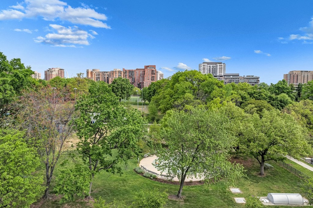 a park with trees and city buildings in the background