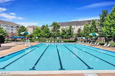 a swimming pool with trees and a building in the background