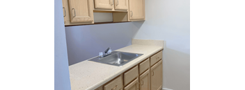 A kitchen with a sink and cabinets.