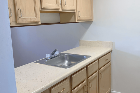 A kitchen with a sink and cabinets.