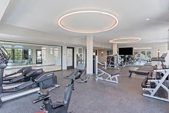 a gym with treadmills and ellipticals