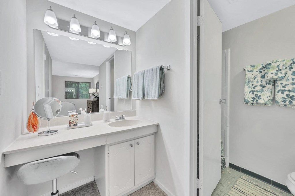 a bathroom with a sink and a shower