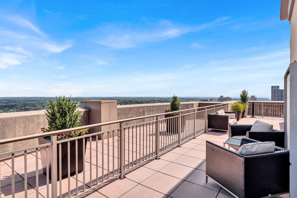 Sweeping city views from rooftop